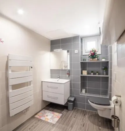 Appartement Ensoleillee Lyon Eurexpo , Proche Stade